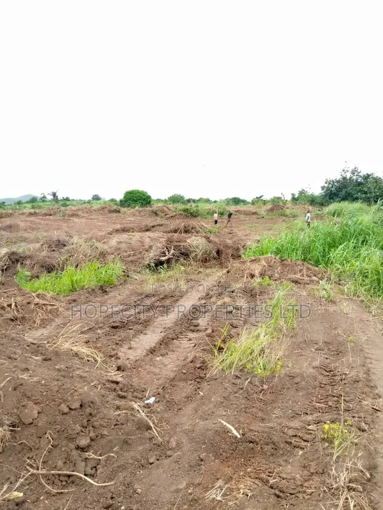 Best Time to Purchase Land Is Raining Season