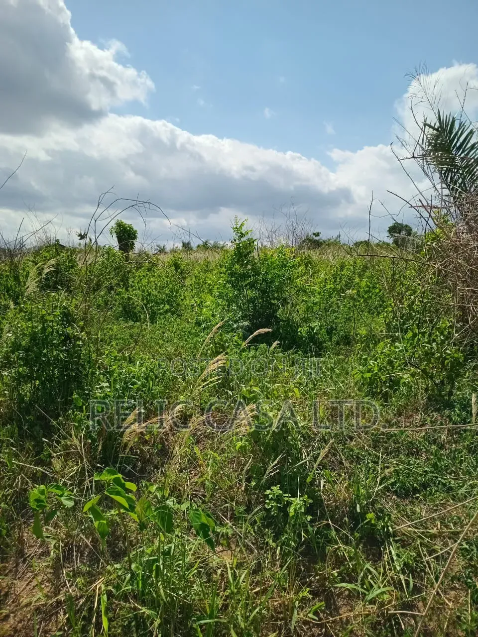 Titled Land In Amasaman – 10%