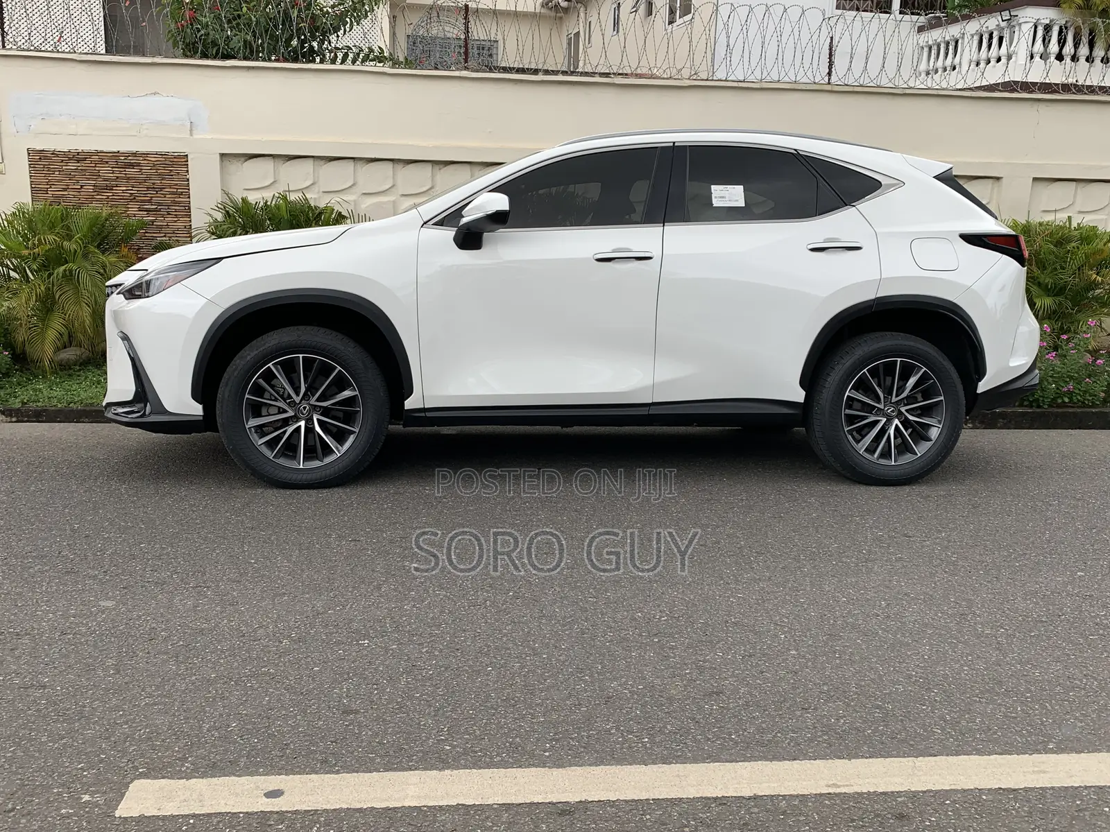 Lexus NX 2024 White