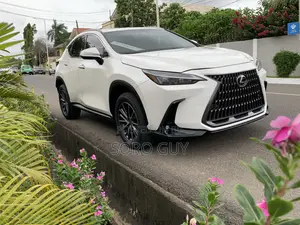 Lexus NX 2024 White
