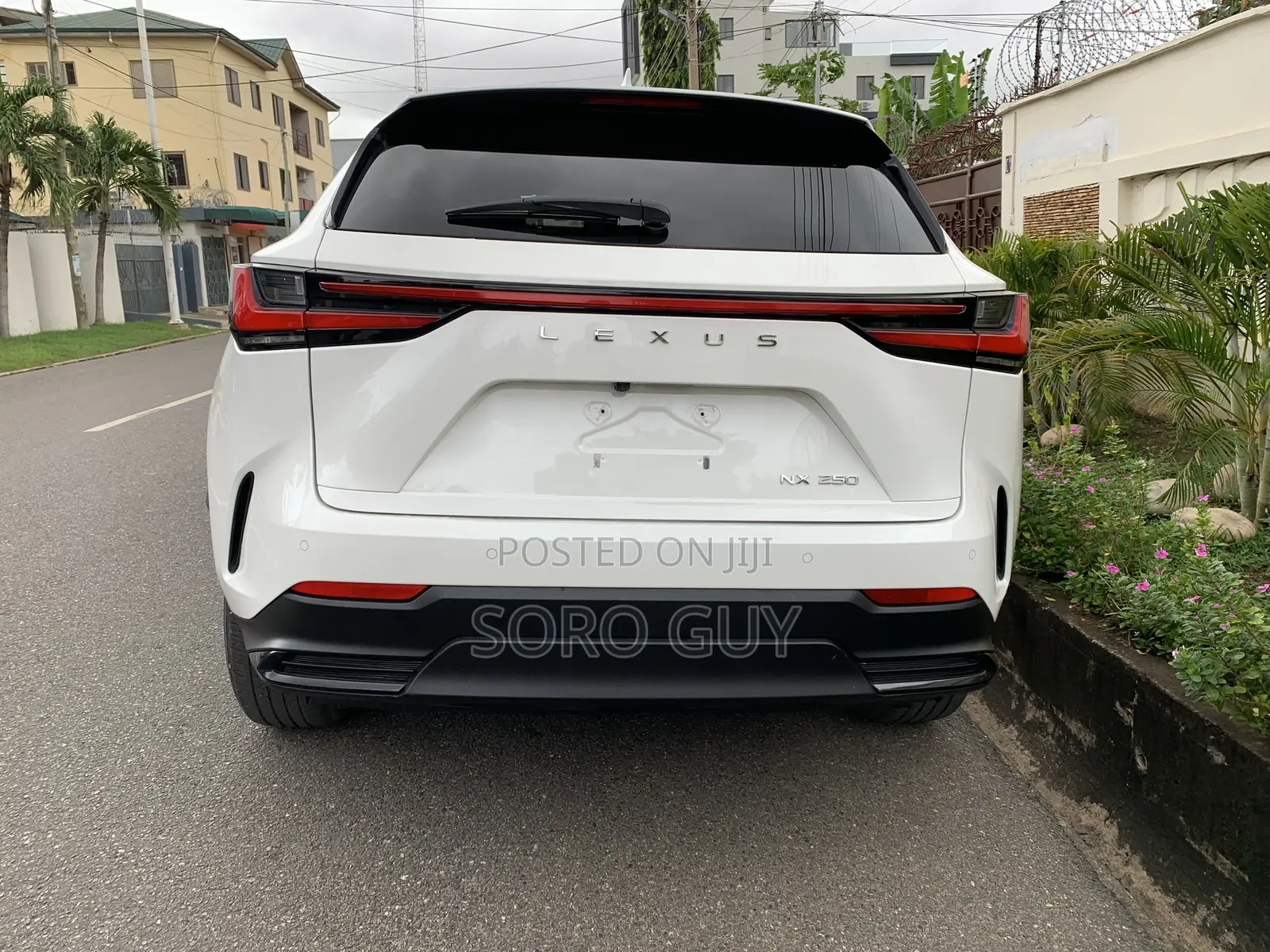 Lexus NX 2024 White