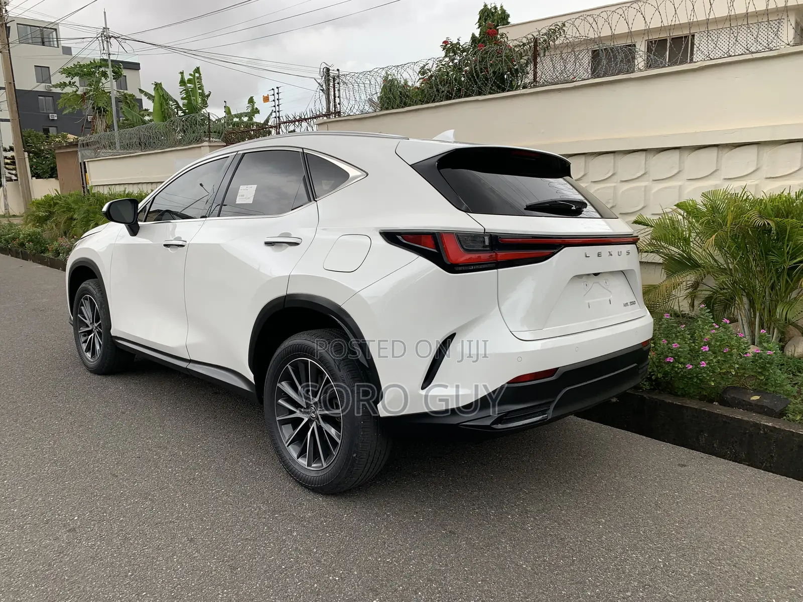 Lexus NX 2024 White