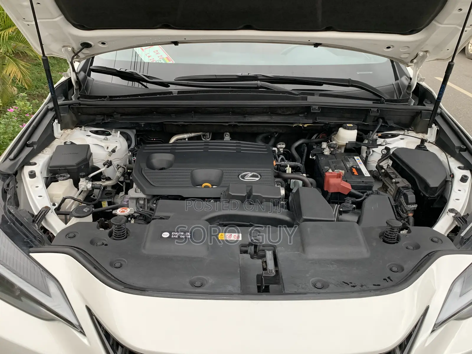 Lexus NX 2024 White
