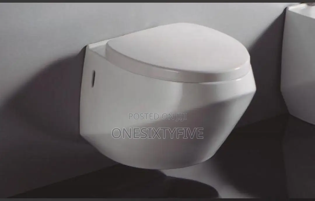 Spanish (Bathco) Wall Hung Water Closet Wc