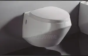 Spanish (Bathco) Wall Hung Water Closet Wc