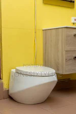 Spanish (Bathco) Wall Hung Water Closet Wc