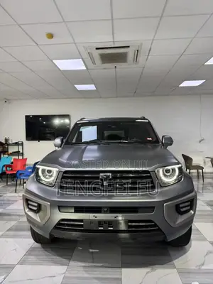 Car 2024 Gray
