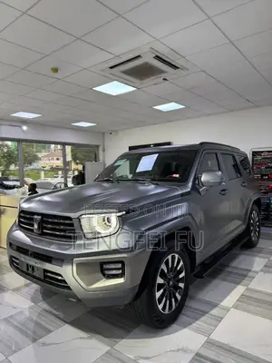 Car 2024 Gray