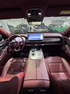 Car 2024 Gray
