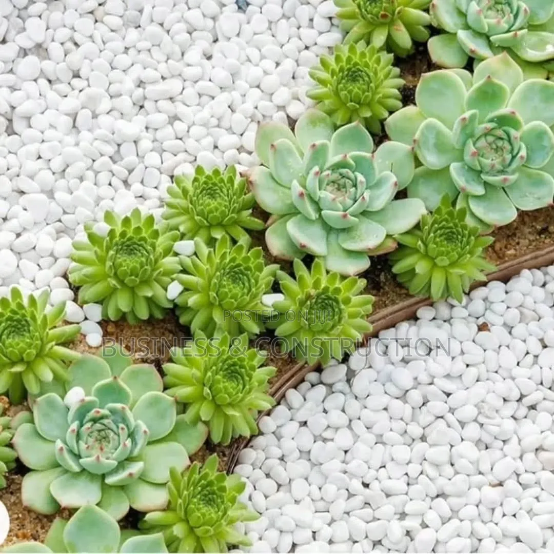 Pebble Stones