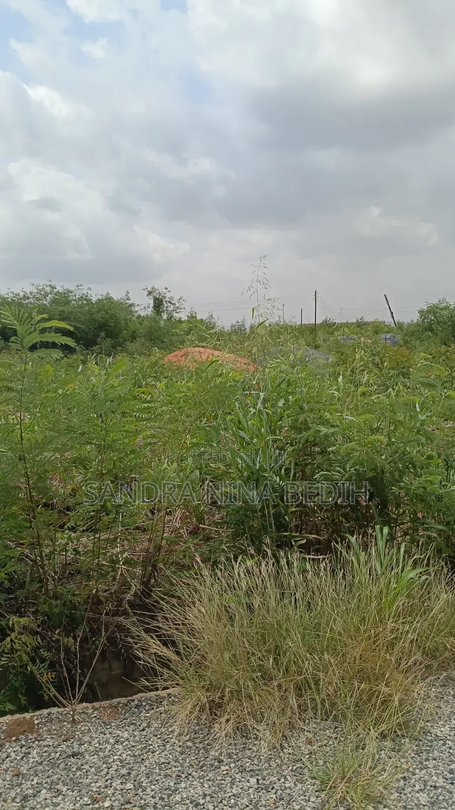 Land for Sale