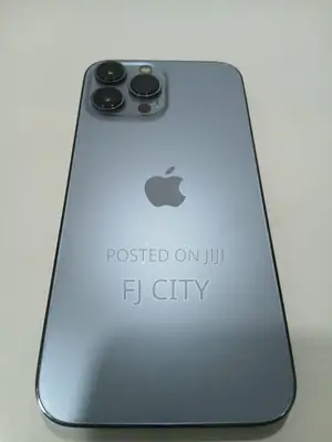 Apple iPhone 13 Pro Max 512 GB Gray