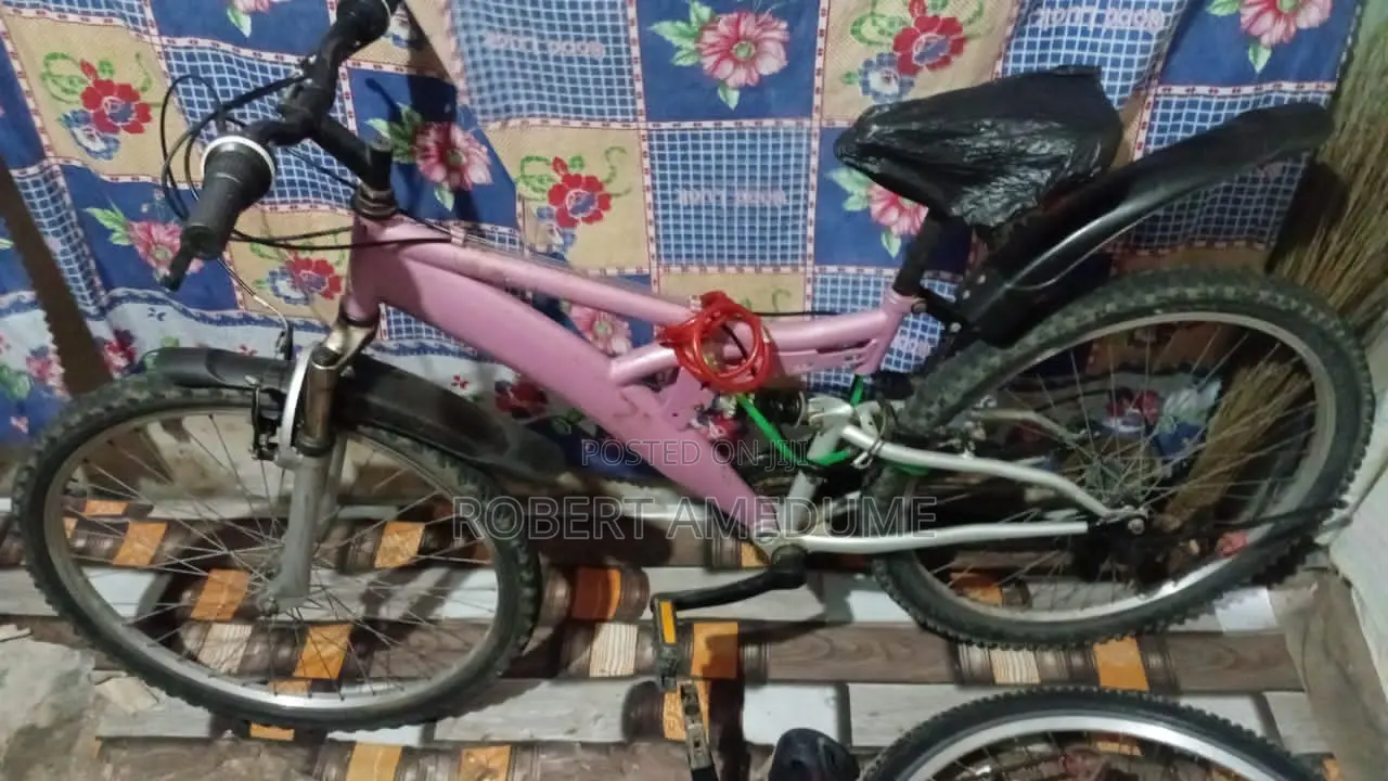 Spring Bike