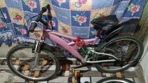 Spring Bike