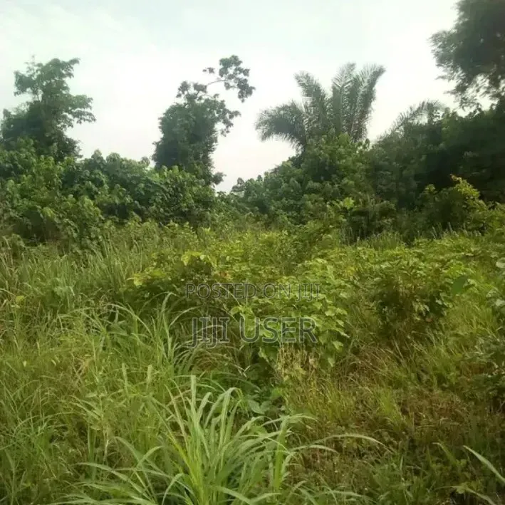 Farm Land for Long Lease