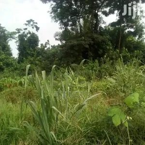 Farm Land for Long Lease