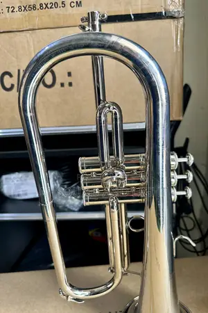 Titanic Usa Yfh-631gs Bb Flugelhorn [Silver]