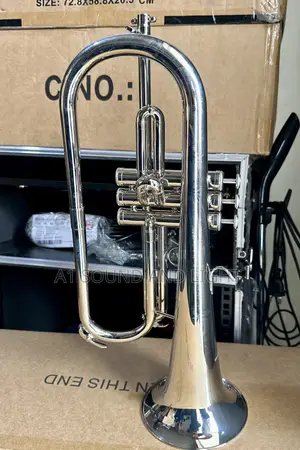 Titanic Usa Yfh-631gs Bb Flugelhorn [Silver]