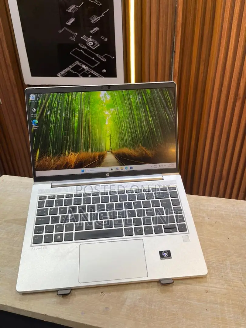 Laptop HP ProBook 445 G9 16GB AMD Ryzen 5 SSD 256GB