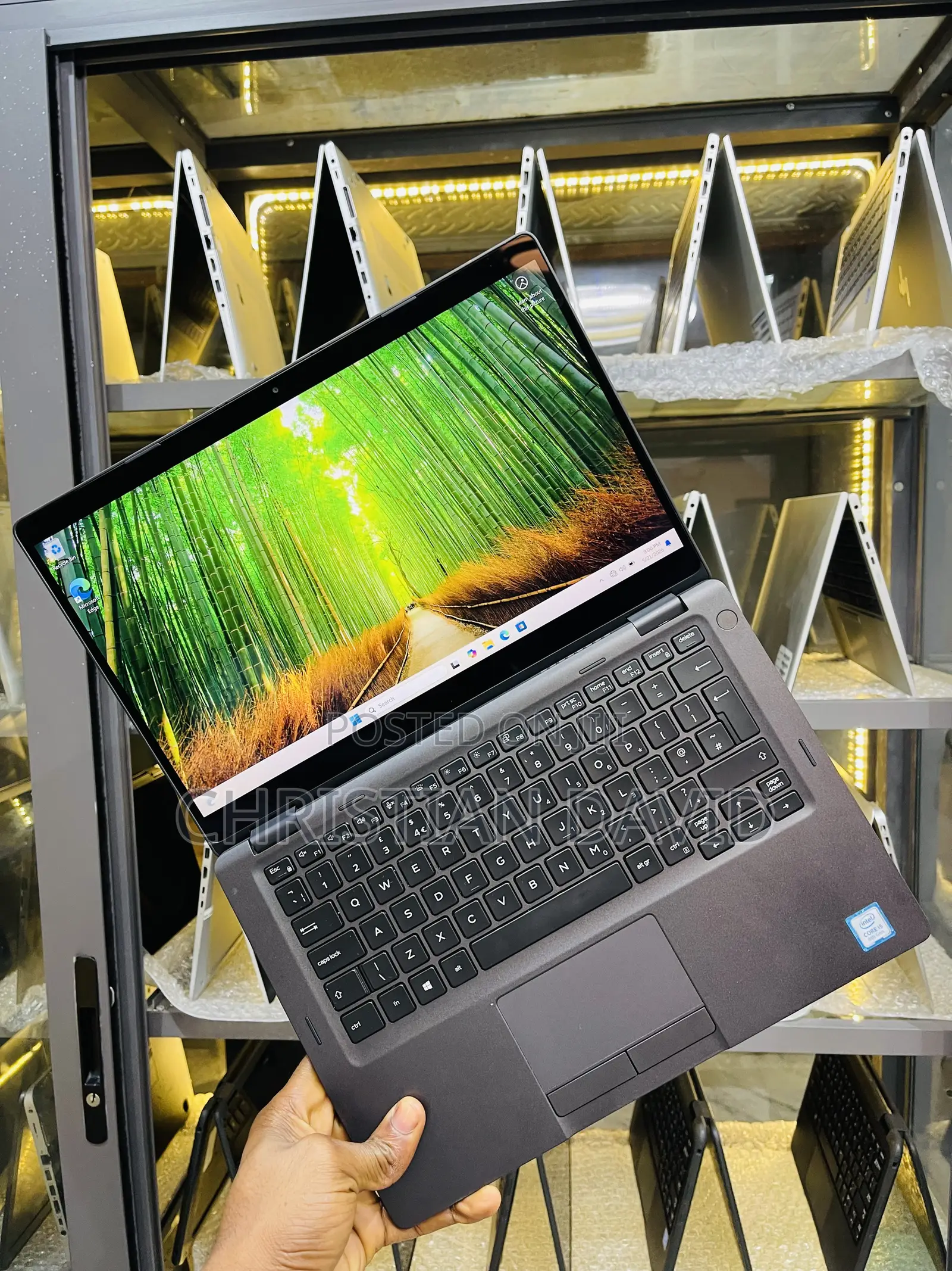 Laptop Dell Latitude 5300 16GB Intel Core i5 SSD 256GB