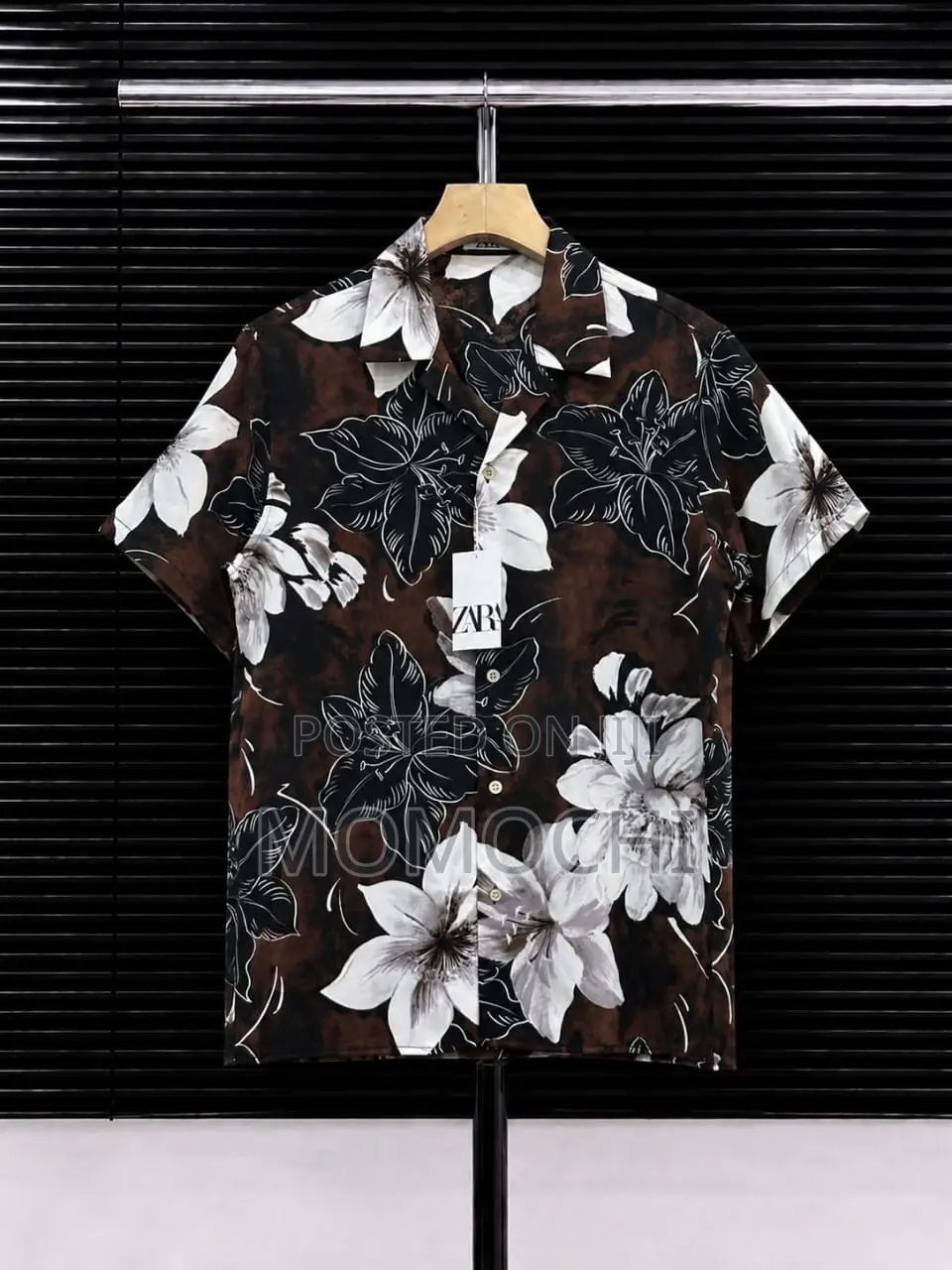 Summer Shirts
