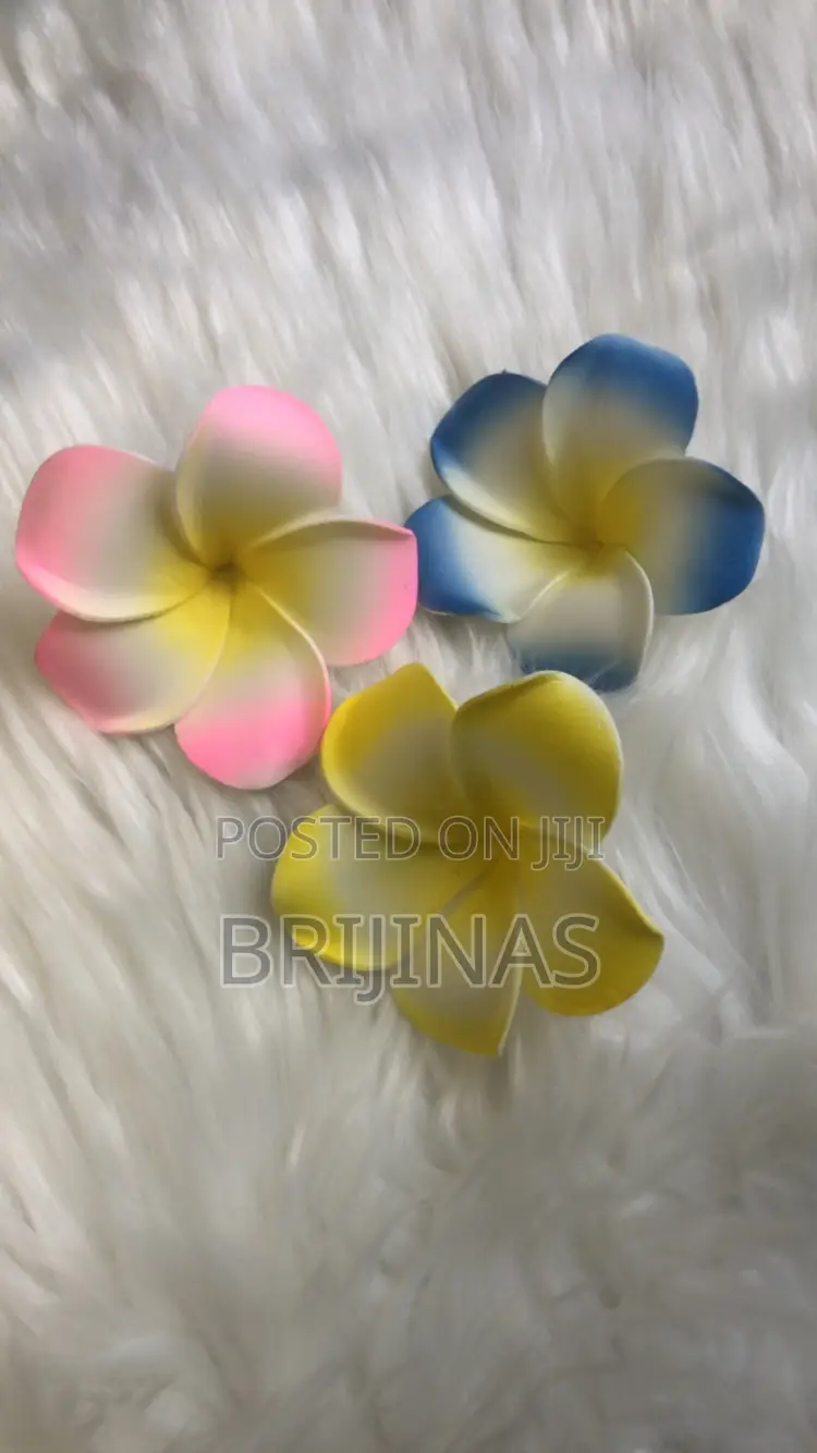 Plumeria Hair Clip