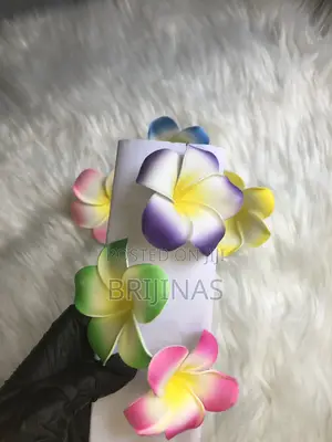 Plumeria Hair Clip