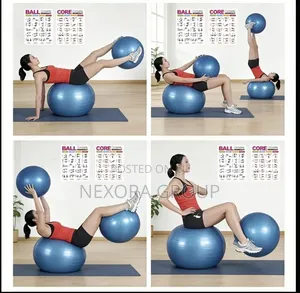 Anti-Burst Gym Ball Perfect for Home Workout Fitness