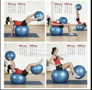 Anti-Burst Gym Ball Perfect for Home Workout Fitness
