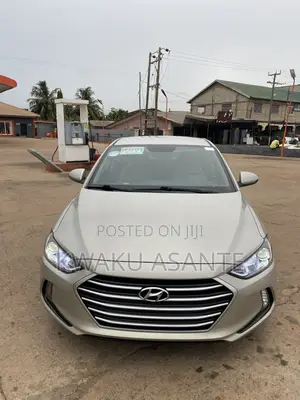 Hyundai Elantra 2017 Gray