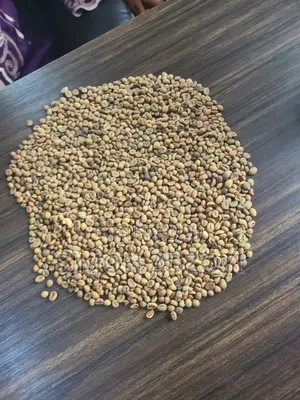 Coffee Beans for Sale