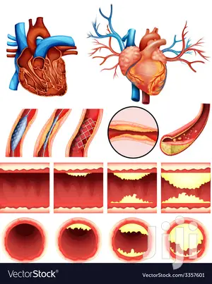 Natual Products for High Cholesterol