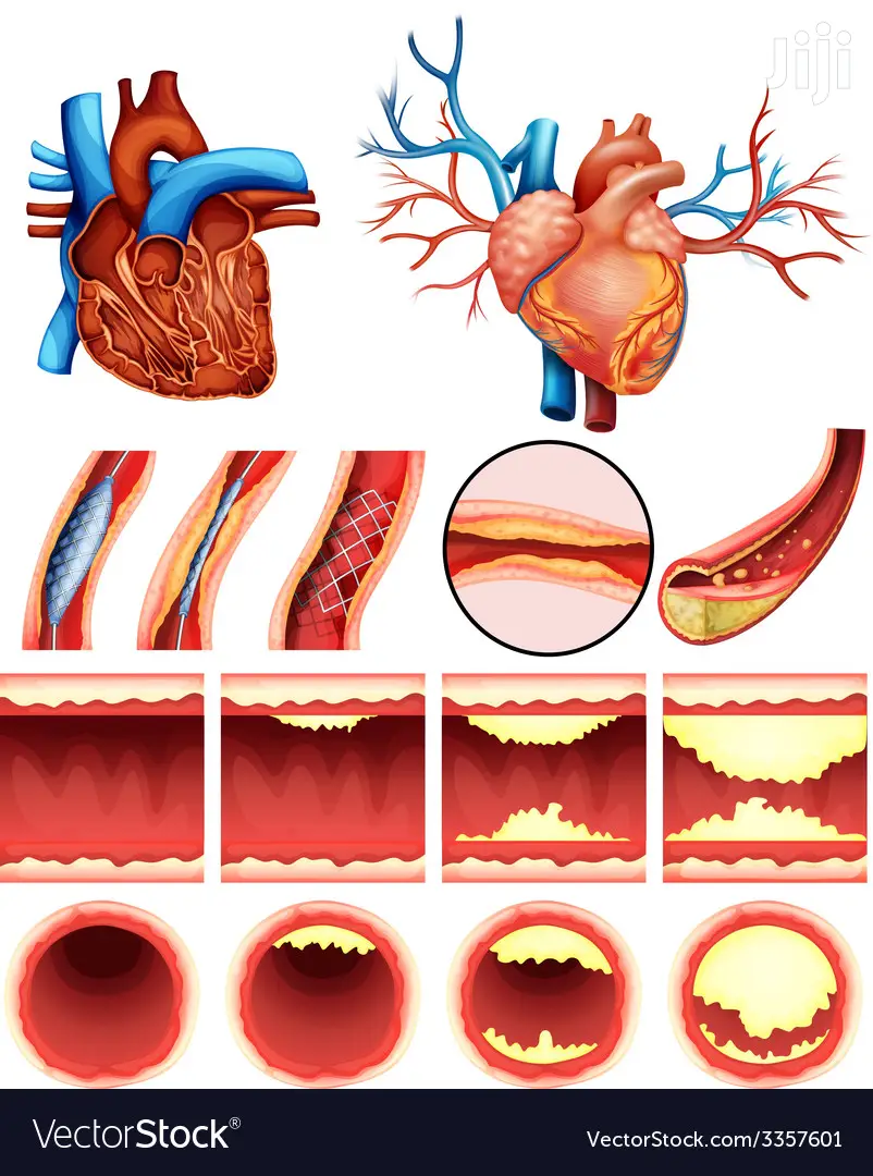 Natual Products for High Cholesterol