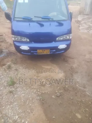 Hyundai H-100 1993 Blue