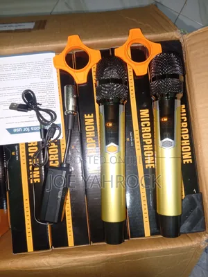 2:1 Rechargeable Wireless/Cordless Heavy Mic