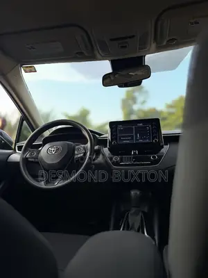 Toyota Corolla LE 2022 Gray