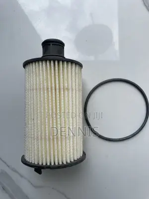 Oil Filter for Range Rover Sport and Land Rover Cars