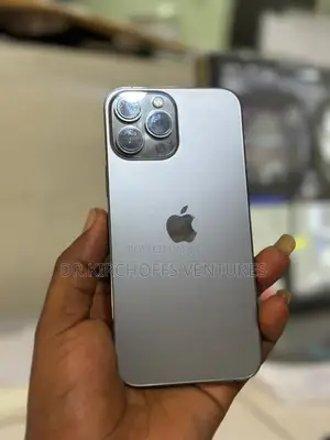 Apple iPhone 13 Pro Max 256 GB Gray