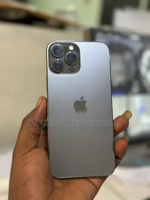 Apple iPhone 13 Pro Max 256 GB Gray
