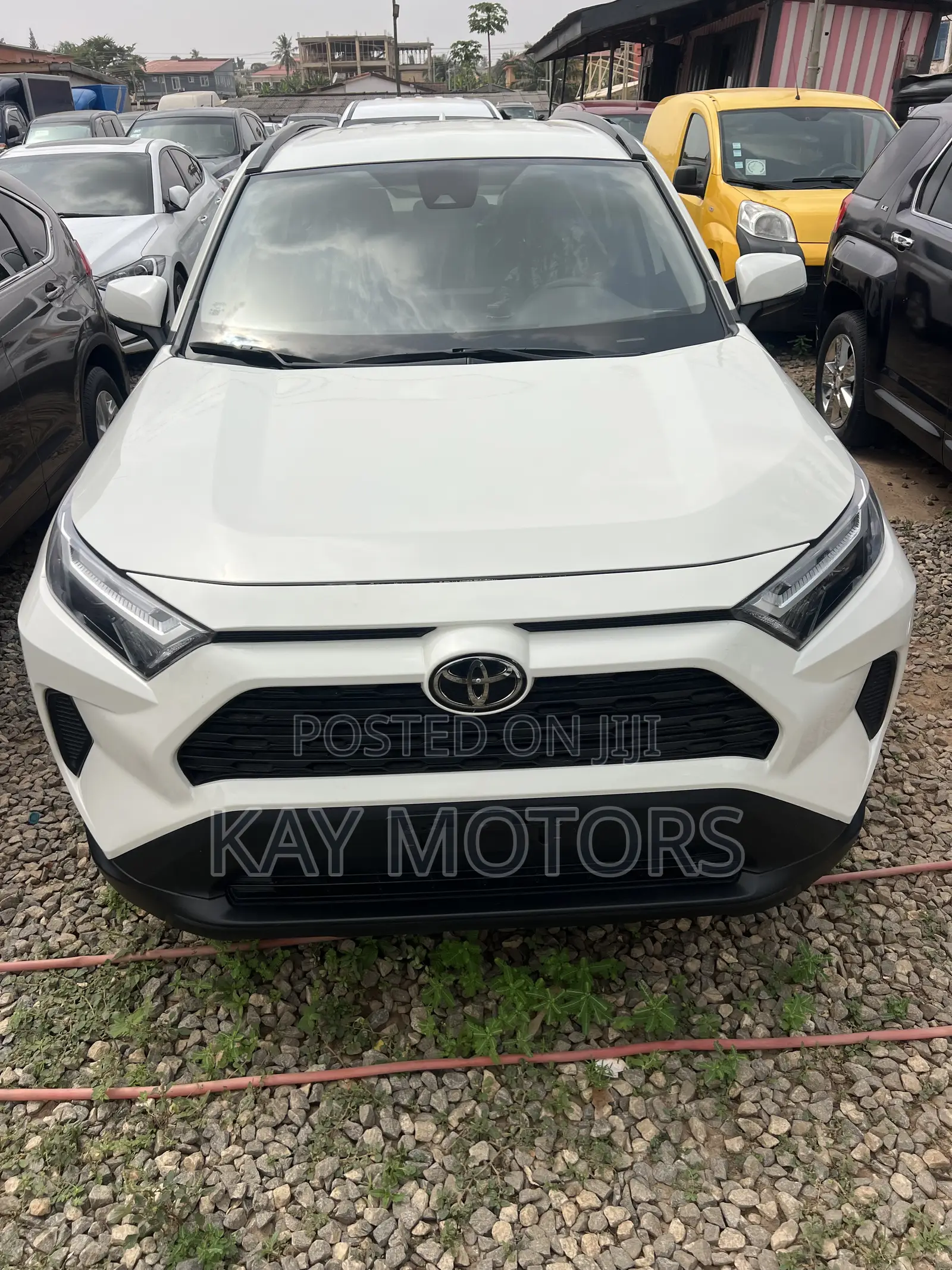 Toyota RAV4 XLE 2022 White