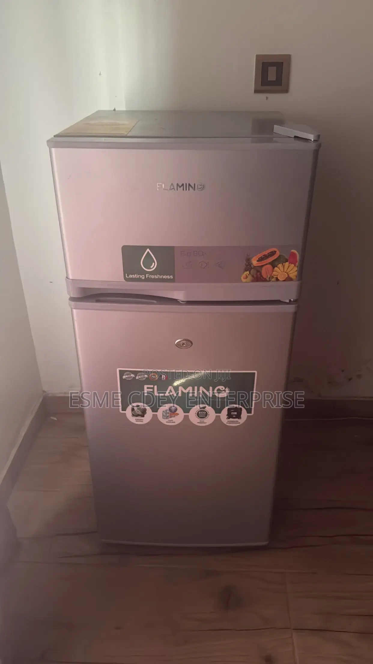 Flamingo Silver Mini Fridge With Freezer