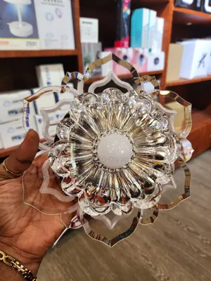 Crystal Design Ceiling Light
