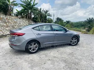 Hyundai Elantra SE Sedan FWD (2.0L 4cyl 6M) 2017 Gray