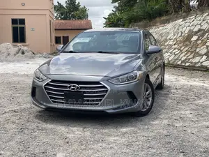 Hyundai Elantra SE Sedan FWD (2.0L 4cyl 6M) 2017 Gray