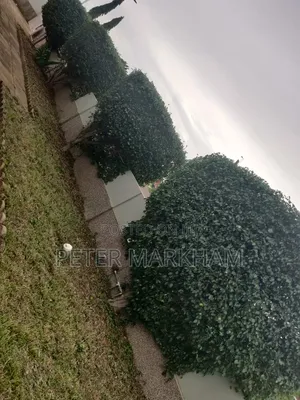 3bdrm House in Devtraco Estates, Community 25 for rent