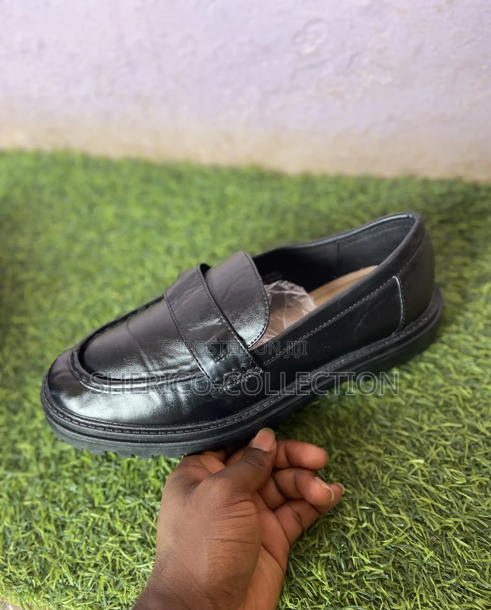 Lofa Gladiator