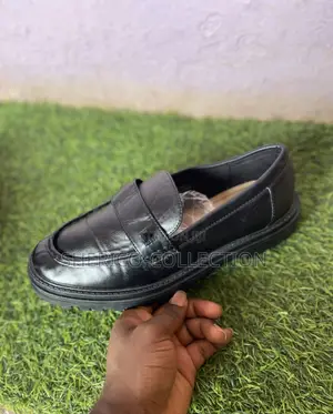 Lofa Gladiator