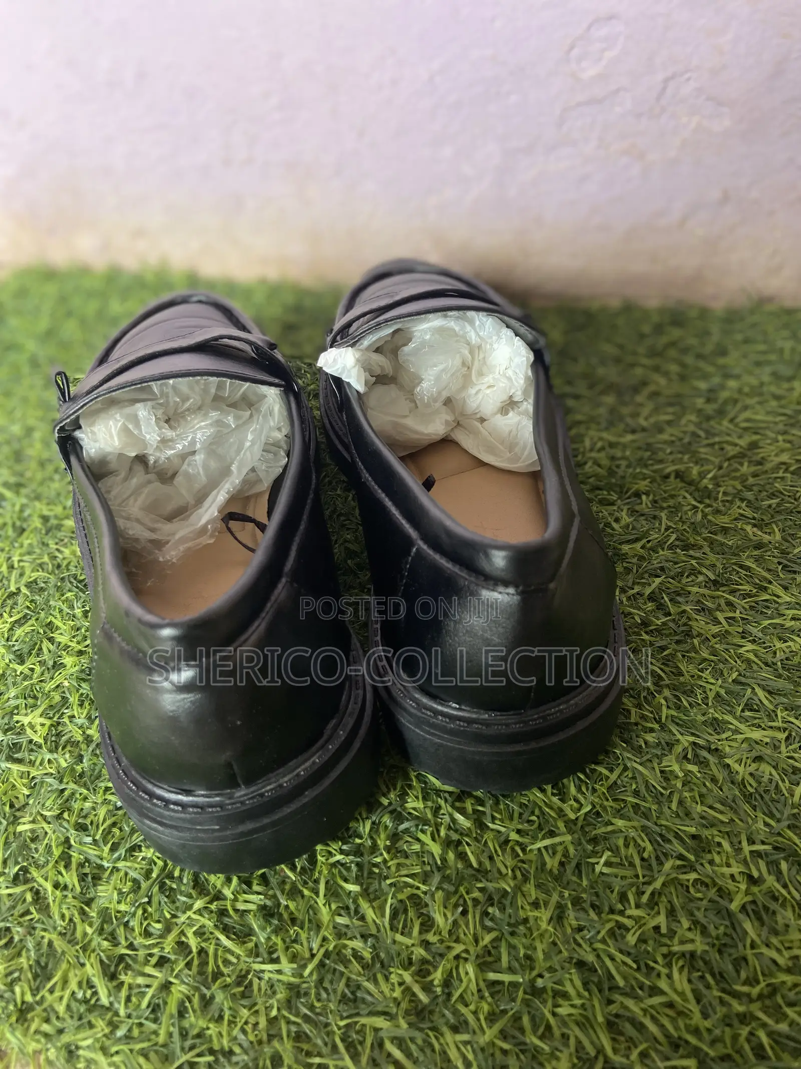 Lofa Gladiator