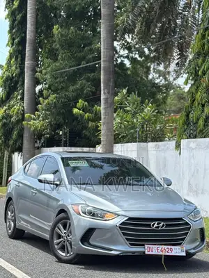 Hyundai Elantra SE Sedan FWD (2.0L 4cyl 6M) 2017 Gray