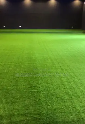 Carpet Grass